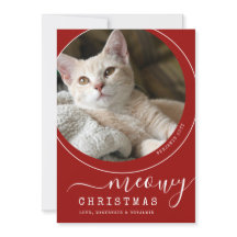 Meowy Julkatt Kitten Photo Red and White