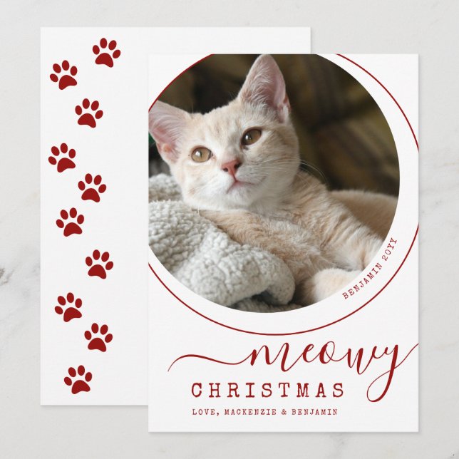 Meowy Julkatt Kitten Photo White (Fram/baksida)