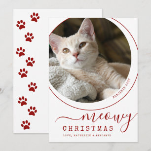 Meowy Julkatt Kitten Photo White