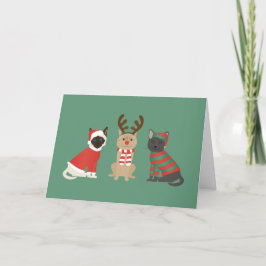 Meowy-julkattor Helgkort