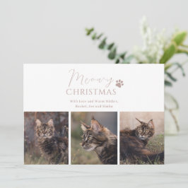 Meowy-julklapp Fotojul Julkort