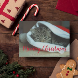 Meowy-julklapp Fotojul Julkort