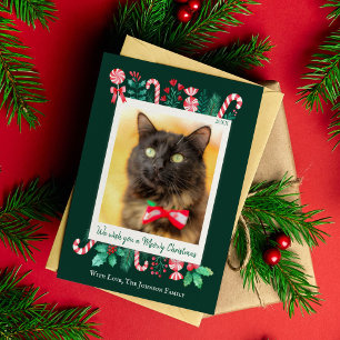 Meowy-julklapp Fotojul Julkort