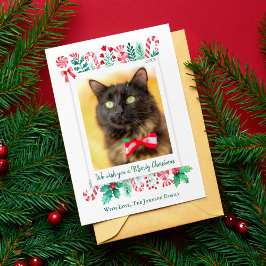 Meowy-julklapp Fotojul Julkort