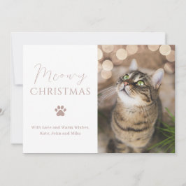 Meowy-julklapp Fotojul Julkort
