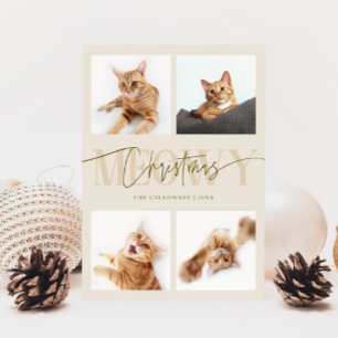 Meowy-julklapp Foton Cream-julen Julkort