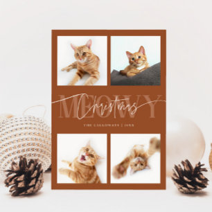 Meowy-julklapp Foton Terracotta-jul Julkort