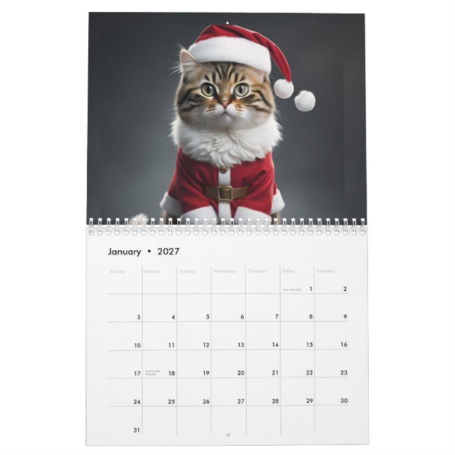 Meowy Kalender (Jan 2027)
