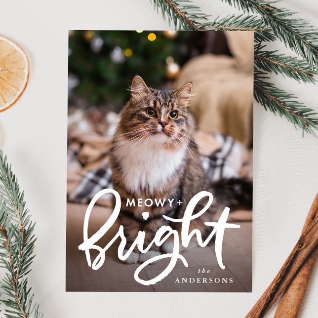 Meowy och Bright Kattfoto Julkort (Skapare uppladdad)