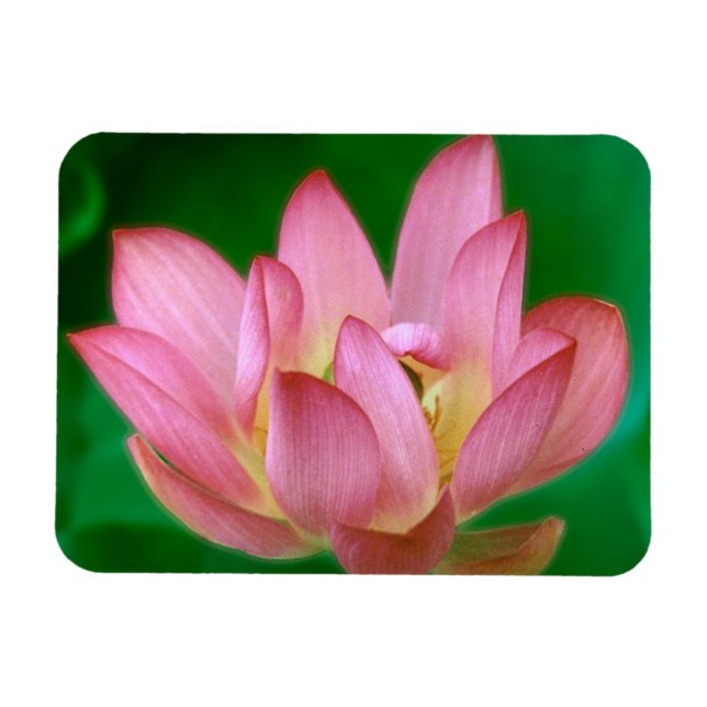 Mer än en Dream Magnet (Horisontell)