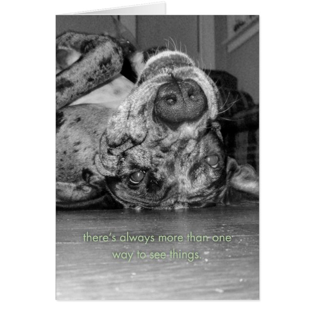 Mer än ett sätt hälsningskort (Framsidan)