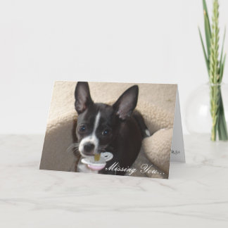 mer bilder 008, Saknar du... Kort