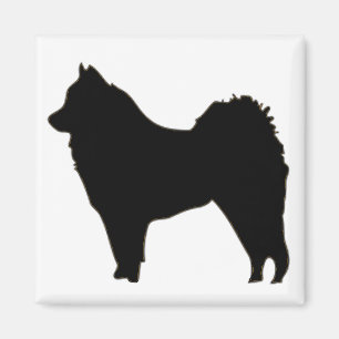 mer eurasier magnet