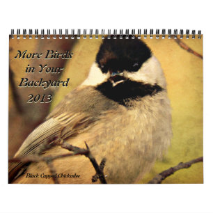 Mer fåglar i din trädgårdkalender 2013 kalender