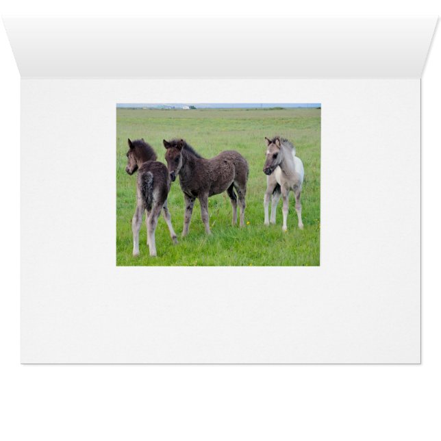 Mer hästar Galore (vågrät) Hälsningskort (Insidan Horizontal (UnderSidan))