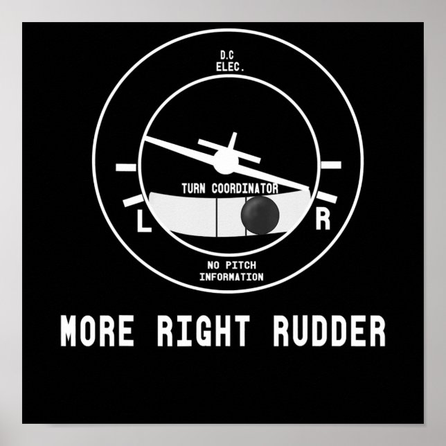 Mer Höger Rudder Cfi-flyginstruktör Pilot Gift Poster (Framsidan)