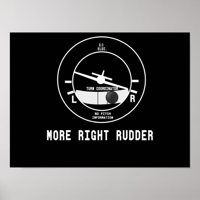 Mer Höger Rudder Cfi-flyginstruktör Pilot Gift Poster (Framsidan)