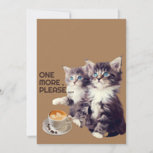 Mer kaffe till katter. inbjudningar