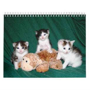 Mer kattungar! kalender