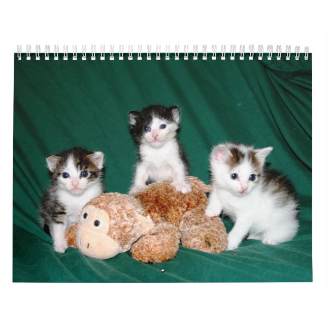 Mer kattungar! kalender (Omslag)