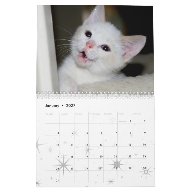Mer kattungar! kalender (Jan 2027)