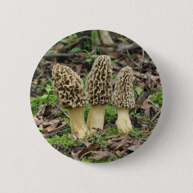 Mer Morels Knapp (Framsida)