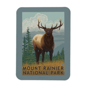 Mer regnig nationalpark, WashingtonElk plats Magnet