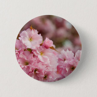 Mer Sakura blommar Knapp