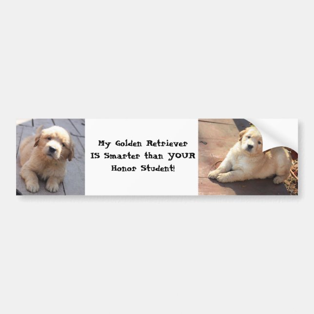 mer smart än en hederstudent bildekal (Framsidan)