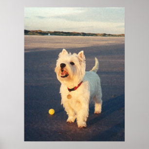 Mer tack! Westie Bollaffisch Poster