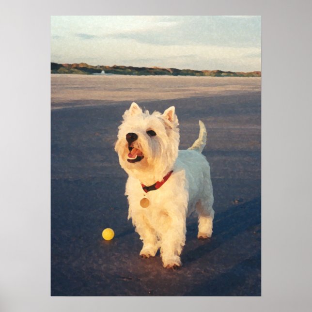 Mer tack! Westie Bollaffisch Poster (Framsidan)