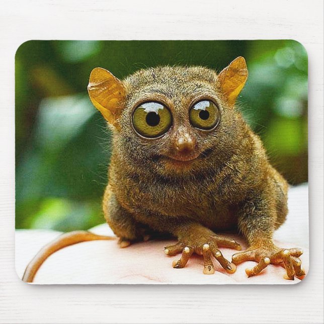 mer tarsier musmatta (Framsidan)