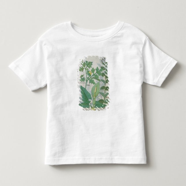 Mer underbar Celandine eller vallmo T Shirt (Framsida)