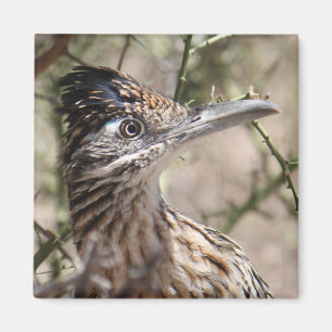 Mer underbar Roadrunnermagnet Magnet