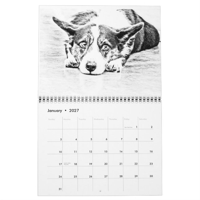 Mer underbar schweizisk berghund kalender (Jan 2027)