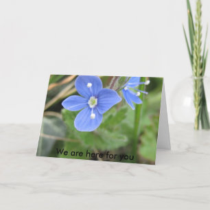 mer vår blommor 10 001, är vi här för dig kort