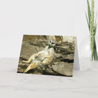 Mercat hälsningkort kort