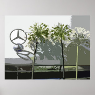 MERCEDES & AGAPANTHUS POSTER