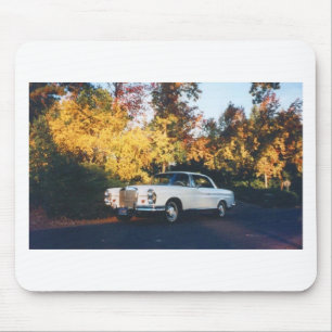 Mercedes-Benz 220SEb coupe 1965 Musmatta