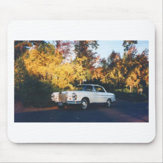 Mercedes-Benz 220SEb coupe 1965 Musmatta