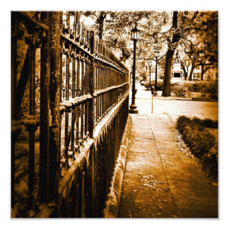 Mercer Fence Fototryck