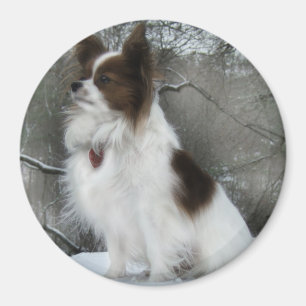 Merchandise för hundkoja för Hershey kysshjälte Magnet