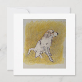 Merci Beaucoup eller Tack Kort