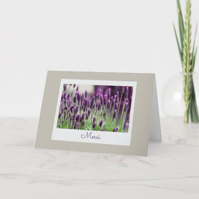 Merci Fransk Lavender Frankrike Tack Gratitude Kort (Framsida)