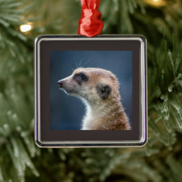 Mercurial Meerkat jul Ornament
