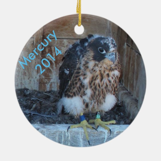Mercuryprydnad 2014 julgransprydnad keramik (Baksidan)