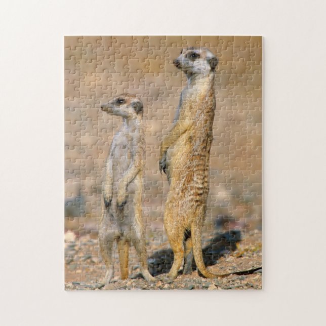 Mergat (Suricata Suricatta) vaktposter, Karas Pussel (Vertikal)