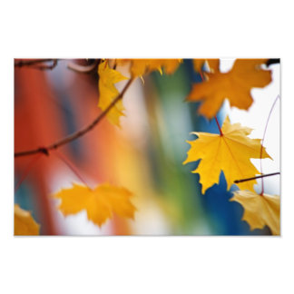 Meridian Fall. Fototryck