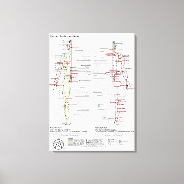 Meridianer i kinesiskt kroppsskal canvastryck (Framsida)