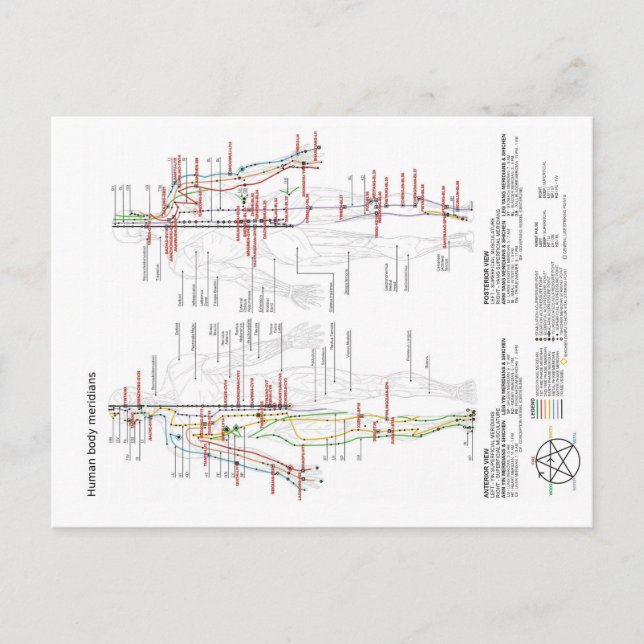 Meridianer i kinesiskt kroppsskal vykort (Framsida)